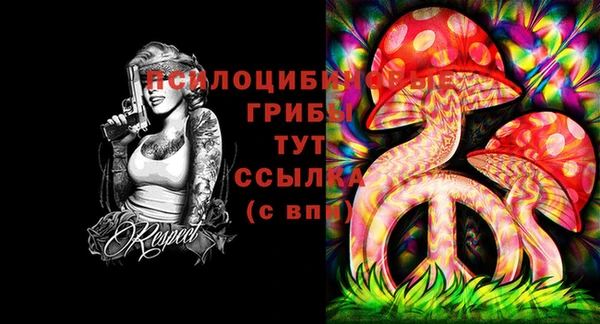 не бодяженный Арсеньев