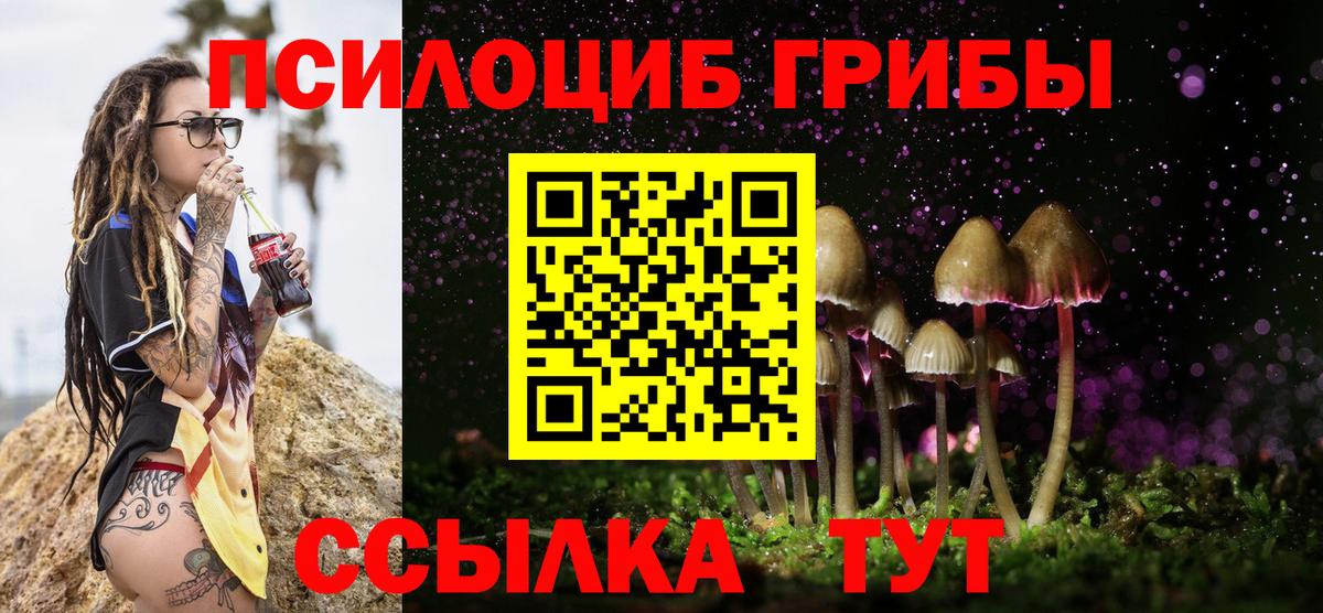 Спасск-Дальний  Галлюциногенные грибы Psilocybine cubensis  где продают   Вход с VPN 