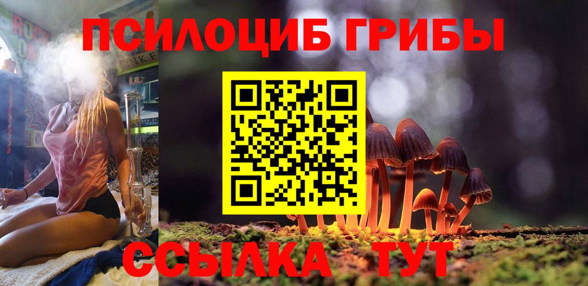 Псилоцибиновые грибы прущие грибы Спасск-Дальний